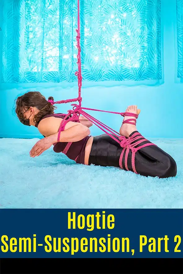 sus hogtie & tengu semi suspension, part 2